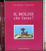 Il Molise che farne?