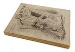 Savinio Disegni Immaginati 1925/1932- Cavalli Vivarelli- Tega- 1984-B-Xfs187