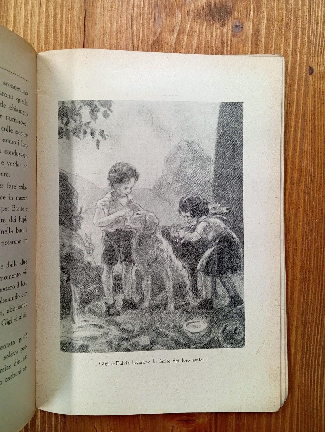 Creature di Dio. Il cuore dei ragazzi di fronte agli animali