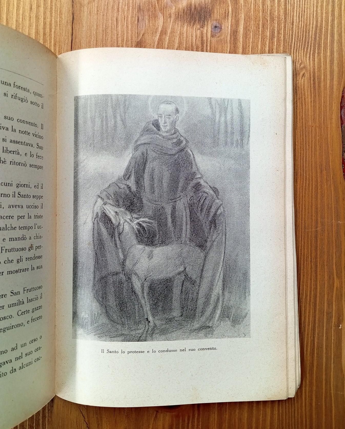 Creature di Dio. Il cuore dei ragazzi di fronte agli animali