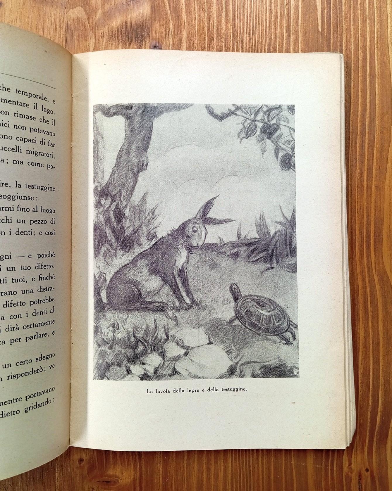 Creature di Dio. Il cuore dei ragazzi di fronte agli animali