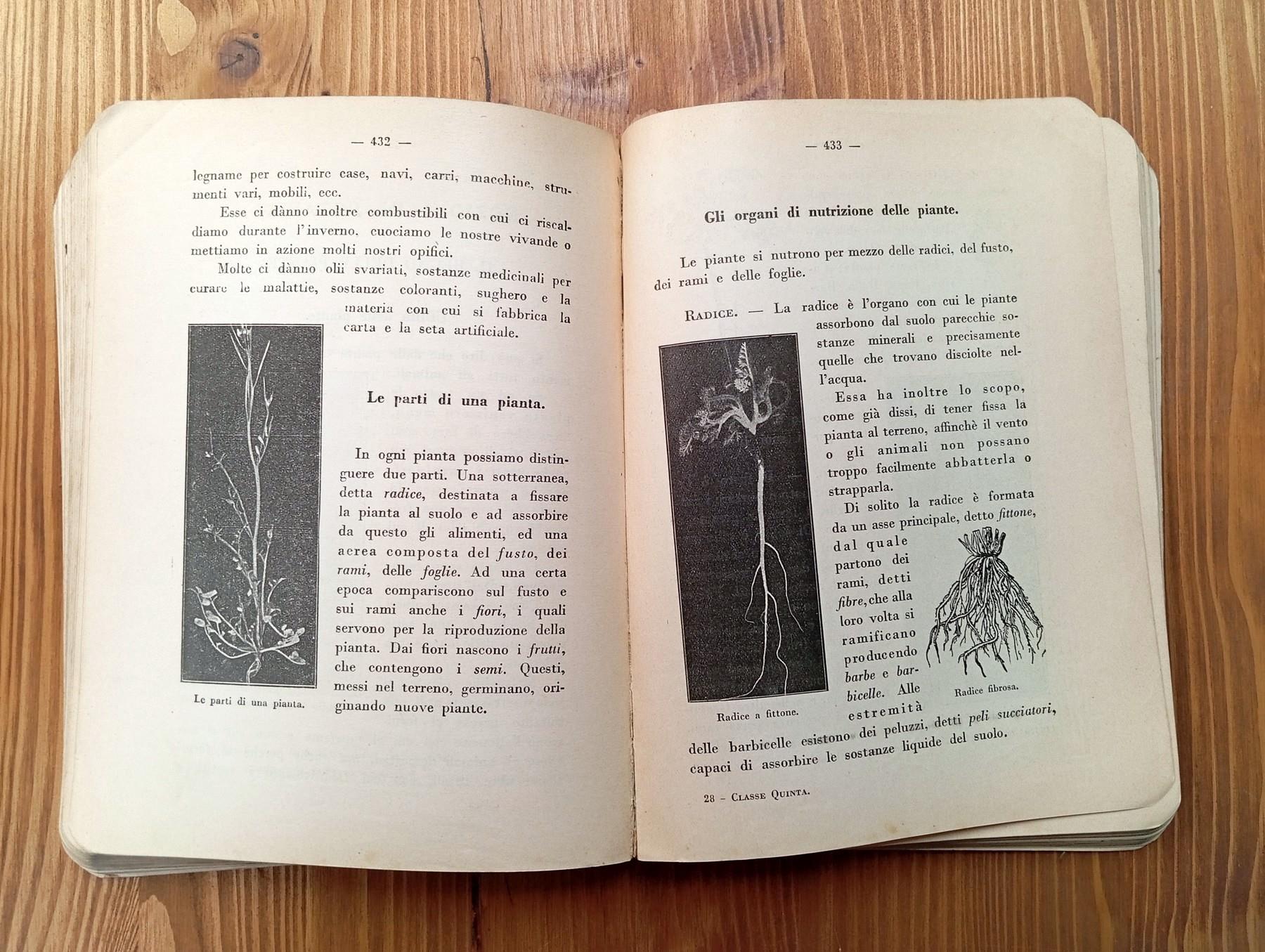 Il libro della V classe elementare. Religione - Storia, Geografia - Aritmetica - Scienze