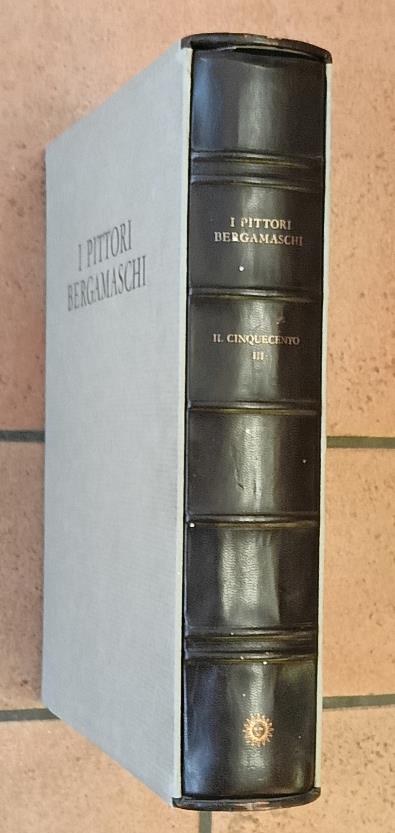 I pittori bergamaschi. Il Cinquecento III. Dal XIII al XIX secolo - copertina