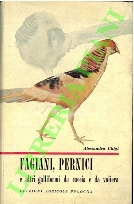 Libreria Piani