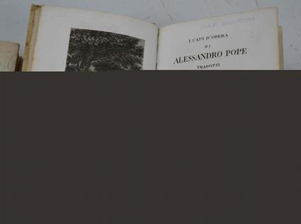 I capi d'opera… tradotti e corredati di critici discorsi di note e di rami da Creofilo Sminteo - Alexander Pope - copertina