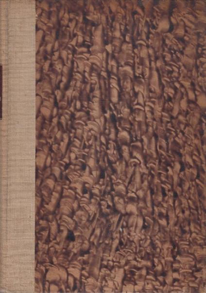 Con le colonne celeri dal Mareb allo Scioa - Cesco Tomaselli - copertina