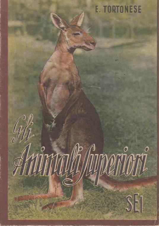 Gli ANIMALI SUPERIORI Nella loro struttura e nella loro vita - Enrico Tortonese - copertina