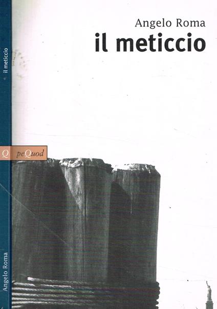 Il meticcio - Angelo Roma - copertina