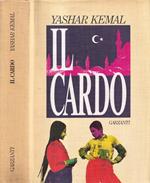 Il cardo
