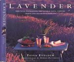 Lavender