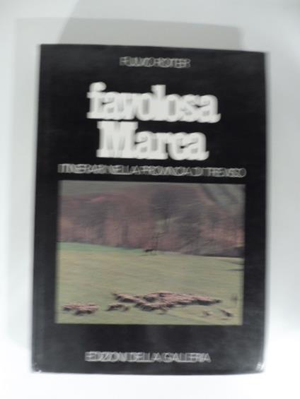 Favolosa Marca. Itinerari nella provincia di Treviso - Fulvio Roiter - copertina