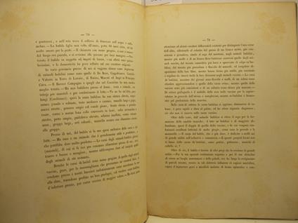 Sulla utilita' del bufalo e necessita' di accrescere la produzione degli animali bufalini in Italia - Giuseppe Valentini - copertina