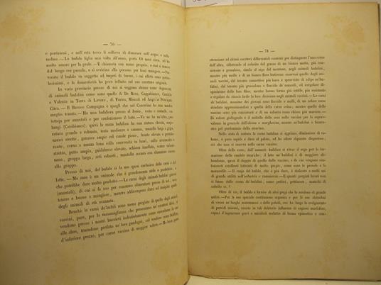 Sulla utilita' del bufalo e necessita' di accrescere la produzione degli animali bufalini in Italia - Giuseppe Valentini - copertina