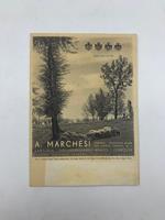 A. Marchesi. Sartoria, Torino (pieghevole pubblicitario)