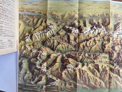 Vallee d'Aoste. Carte plastigraphique - copertina