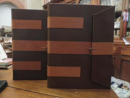 MICHELANGELO BUONARROTI con 17 incisioni in rame di Marc DAUTRY vol. I e II - Michelangelo Buonarroti - copertina