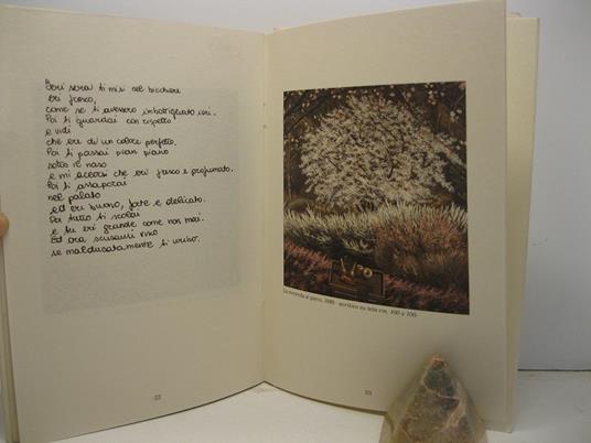 Un accoppiamento giudizioso. Dipinti di Antonio Saliola con un testo di Maurizio Corgnati e sette ricette di Silverio Cineri - Maurizio Corgnati - copertina