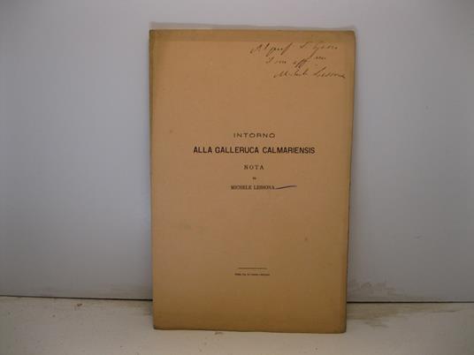 Intorno alla galleruca calmariensis - Michele Lessona - copertina