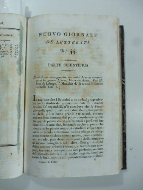 Libreria Coenobium