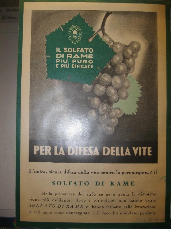 Libreria Coenobium