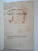 Relazione sul Concorso al Premio Ravizza per l'anno 1882