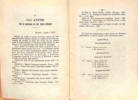 Gli anfibi del Modenese Note ed osservazioni del Dott. Paolo Riccardi - Paolo Riccardi - copertina