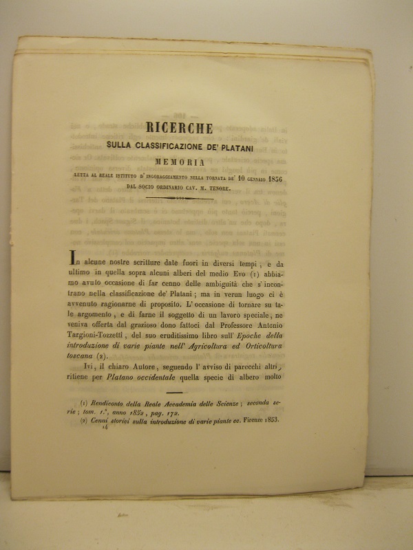 Libreria Coenobium