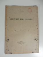 Gli insetti dei caprifichi