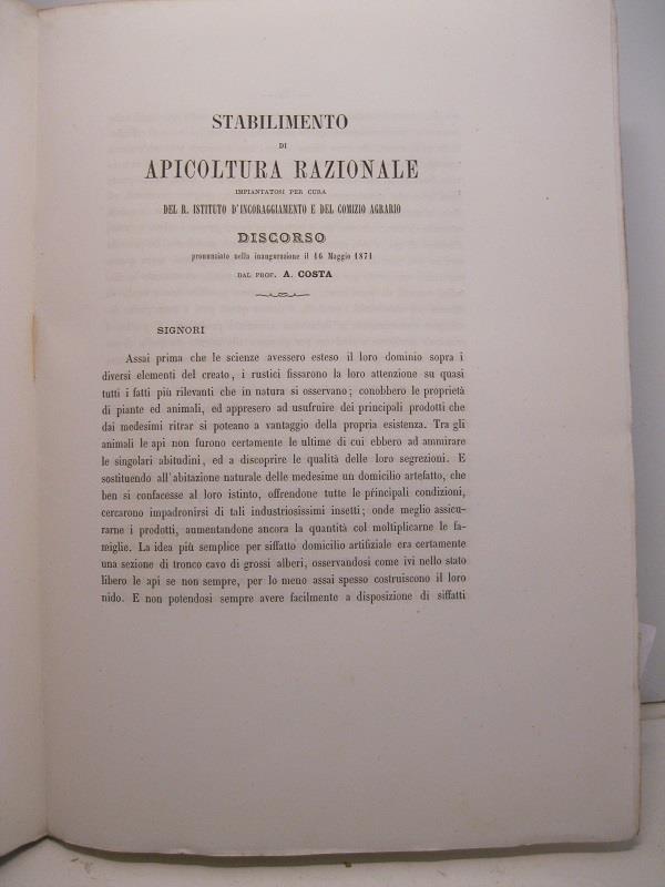 Libreria Coenobium