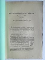 Scoperte archeologiche del Modenese nel 1877. Relazione
