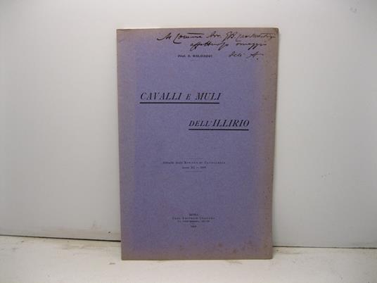 Cavalli e muli dell'Illirio. Estratto dalla Rivista di Cavalleria, anno XI, 1908 - A. Baldacci - copertina