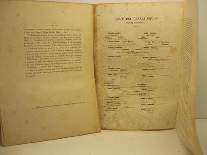 Caso di fecondita' in una mula con l'aggiunta di considerazioni intorno agli ibridi nel genere equus. Memoria - Paolo Panceri - copertina