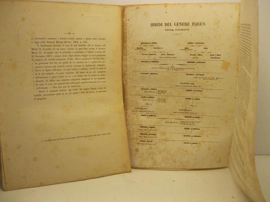 Caso di fecondita' in una mula con l'aggiunta di considerazioni intorno agli ibridi nel genere equus. Memoria - Paolo Panceri - copertina