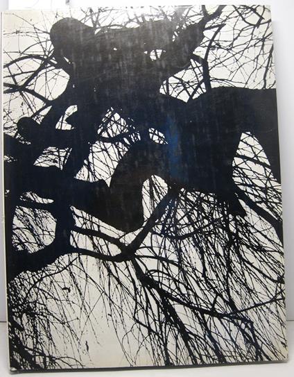 Riva di Po. Fotografie di Harold Null con una prefazione di Riccardo Bacchelli - copertina