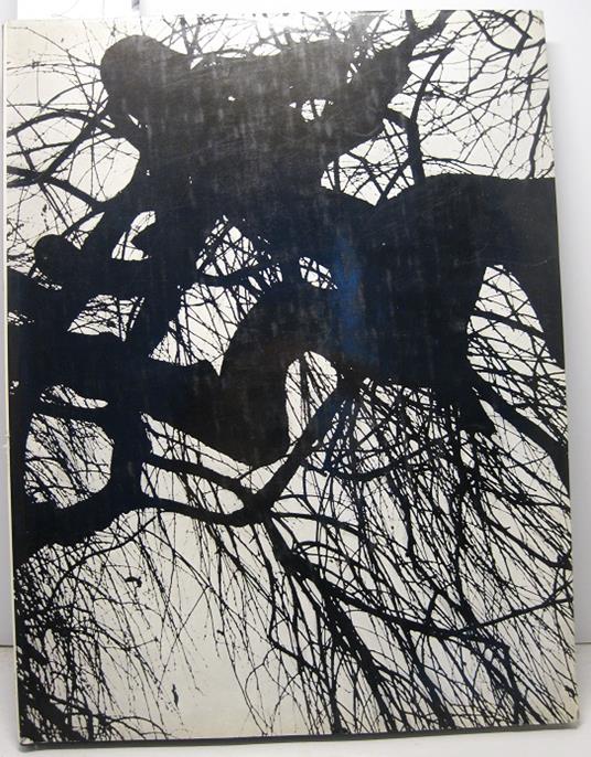 Riva di Po. Fotografie di Harold Null con una prefazione di Riccardo Bacchelli - copertina