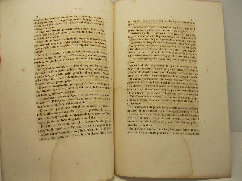 Libreria Coenobium