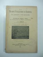 La missione civilizzatrice di Babilonia nel passato e nel presente. Una parola per rettificare e chiarire la controversia su Babele e la Bibbia