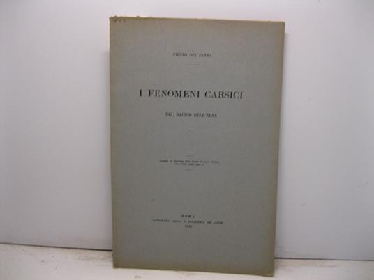 I fenomeni carsici nel bacino dell'Elsa - copertina