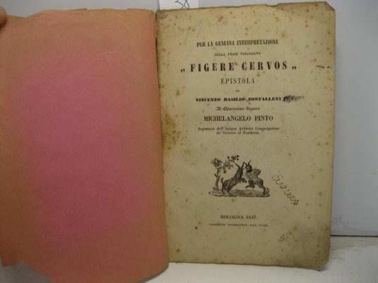 Per la genuina interpretazione della frase virgiliana 'figere cervos'. Epistola al chiarissimo signore Michelangelo Pinto segretario dell'insigne artistica congregazione de' virtuosi al Pantheon - copertina
