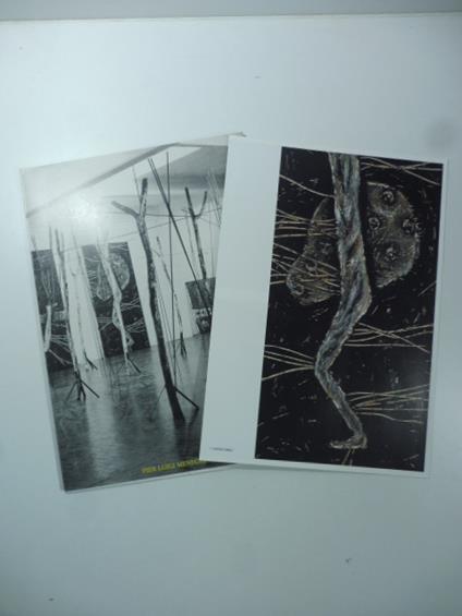 Pier Luigi Meneghello. Nella foresta - copertina