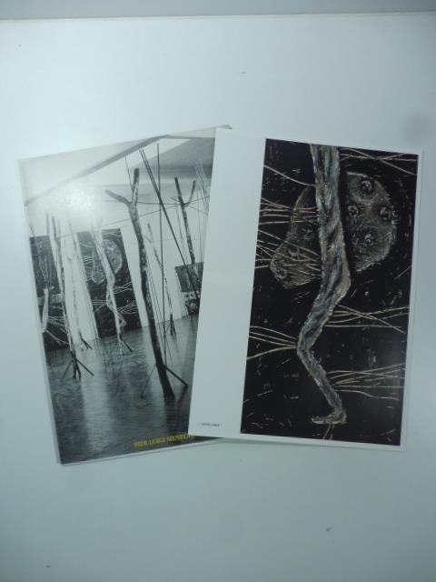 Pier Luigi Meneghello. Nella foresta - copertina