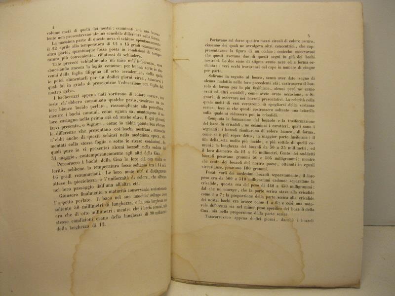Libreria Coenobium