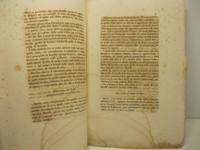 Libreria Coenobium