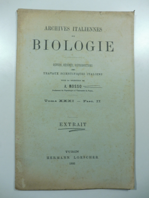 Libreria Coenobium