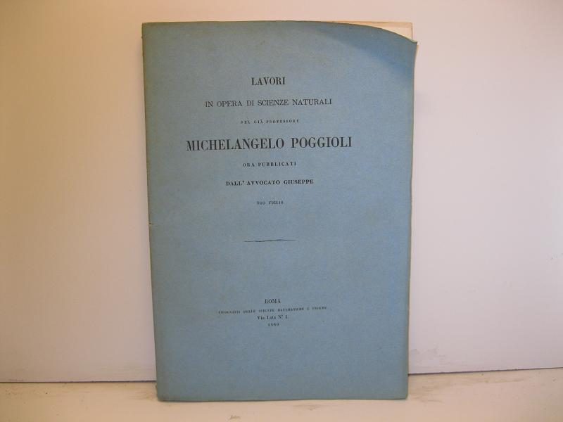 Libreria Coenobium