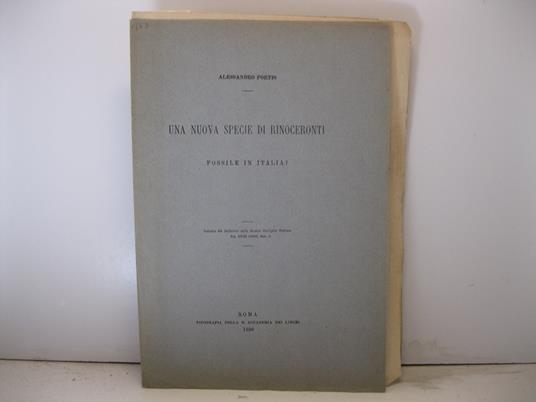 Una nuova specie di rinoceronti fossile in Italia? - copertina