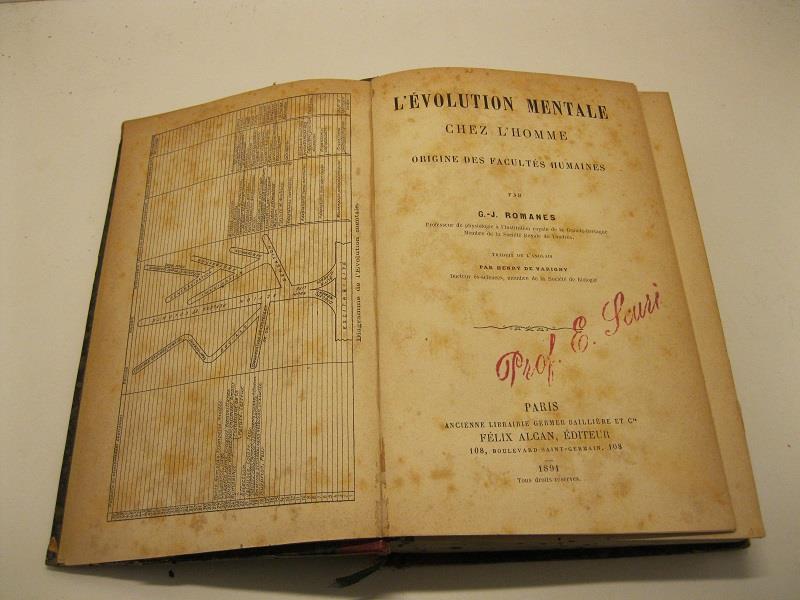 Libreria Coenobium