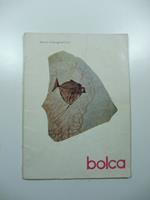 Bolca e i suoi fossili