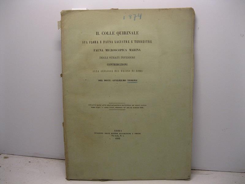 Libreria Coenobium