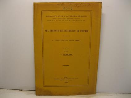 Sul recente rinvenimento di fossili nel calcare a Bellerophon della Carnia - copertina